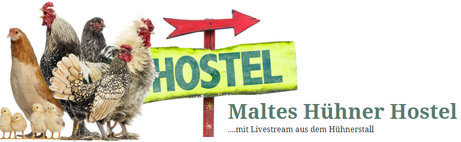 Maltes Hühner Hostel